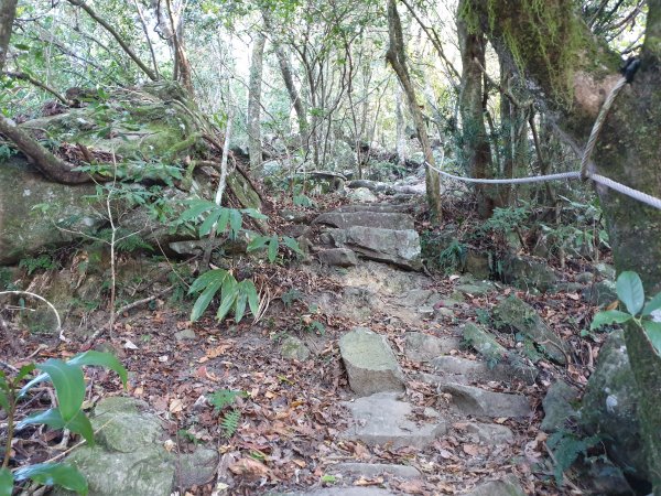 橫龍古道探訪騰龍山1552197