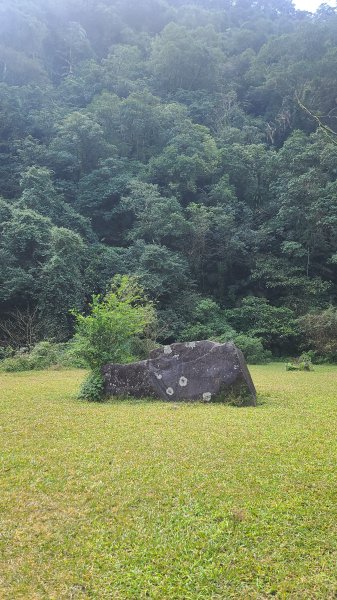 2026-0204 中坑古道_下坑古道O型3005565