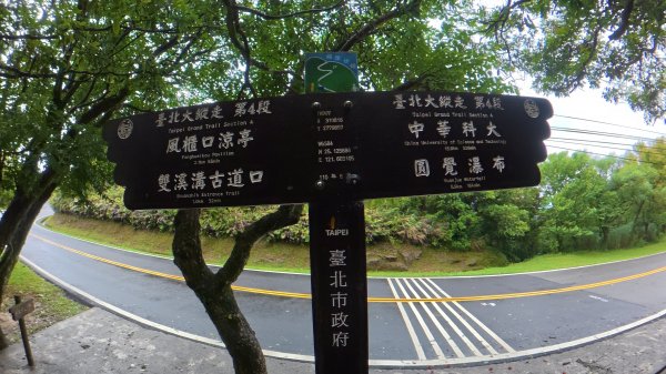 大縱走第4段3053244