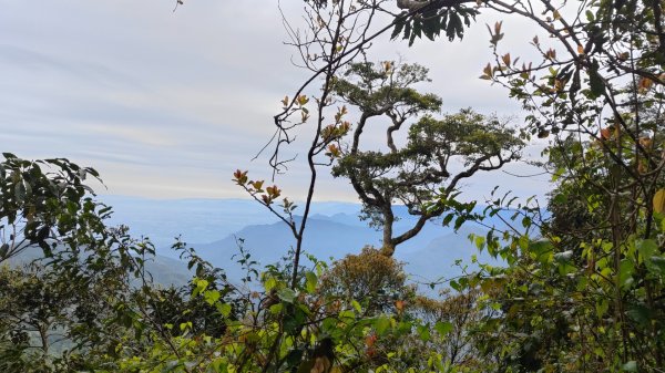 笠頂山單攻西大武山(西北峰) 九星連珠搏命演出歷險記 2025年3月20日2739005