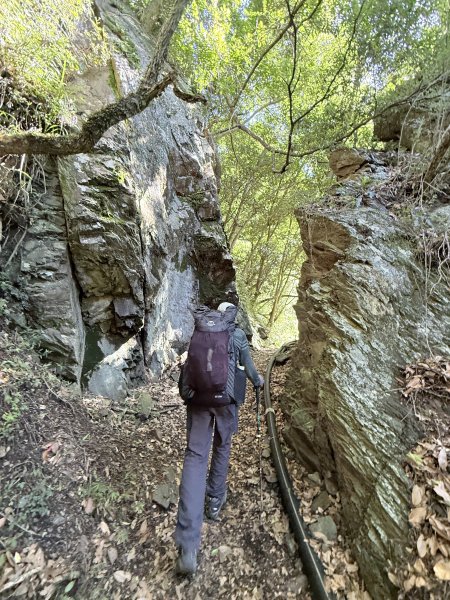 來去郡大坐龍貓公車順登對關山2822335