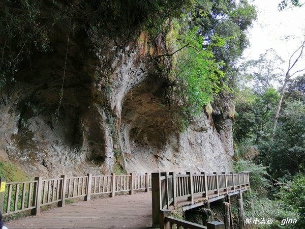 南投竹山~森林的自然美學~杉林溪森林生態園區~天地眼步道