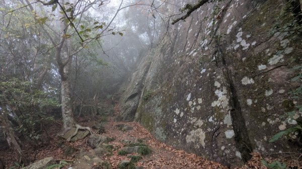 橫龍山、橫龍古道2682958