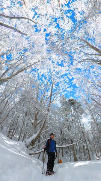 超綺麗夢幻的粉雪奇緣山行記在日本名古屋南沢山2781226