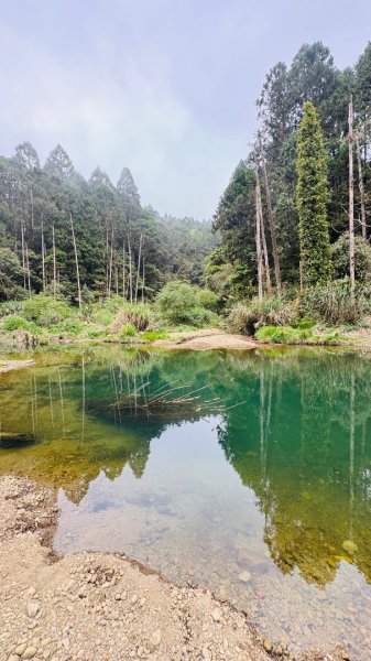 水漾森林+瞑月神木2768794