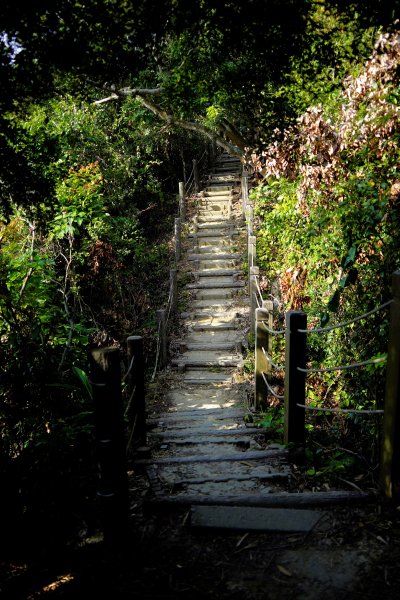 聚興山 新田登山步道2670666