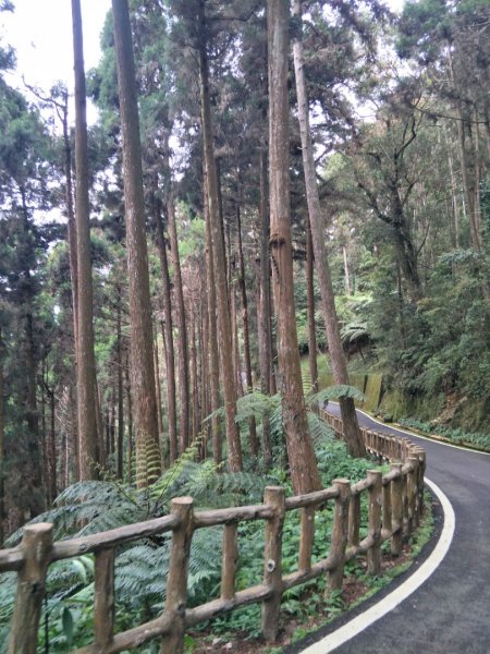 小百岳:東藤技山1654725