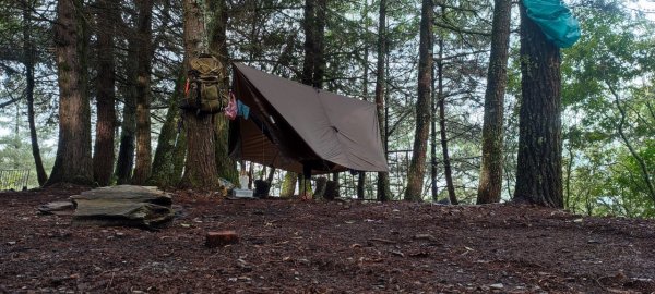 雙龍林道上巒安堂西巒大山1778660