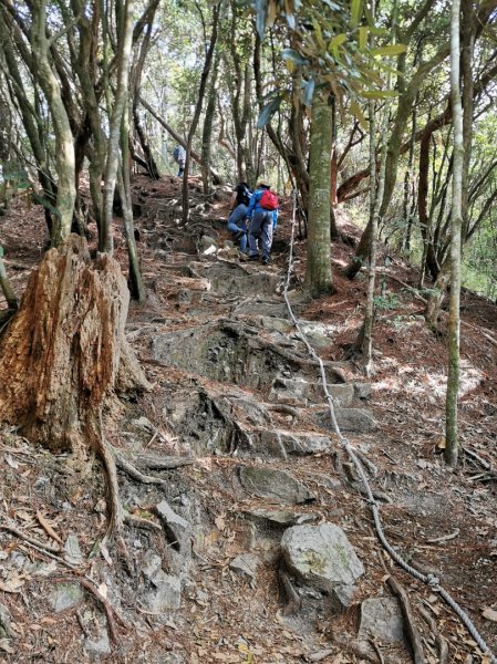 鳶嘴稍來 - 2020/2/8828512