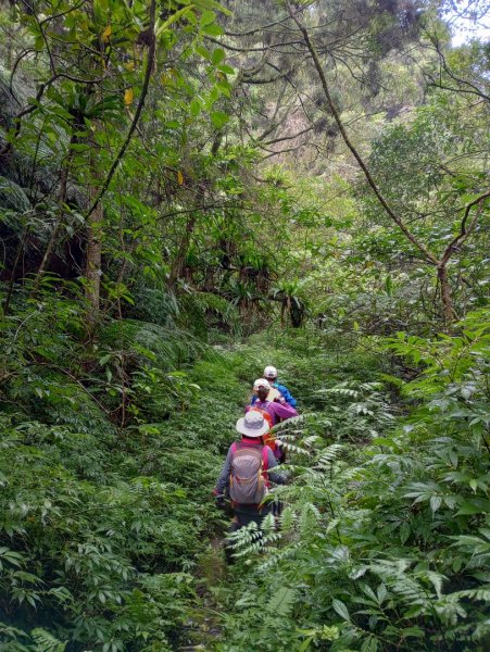 雷公埤山-鱷魚島觀景-小格頭獅頭山2001509