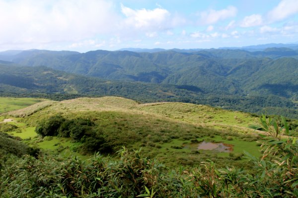 草嶺古道-桃源谷遍野芒花翻飛，飽覽絕美山海奇景！2335612