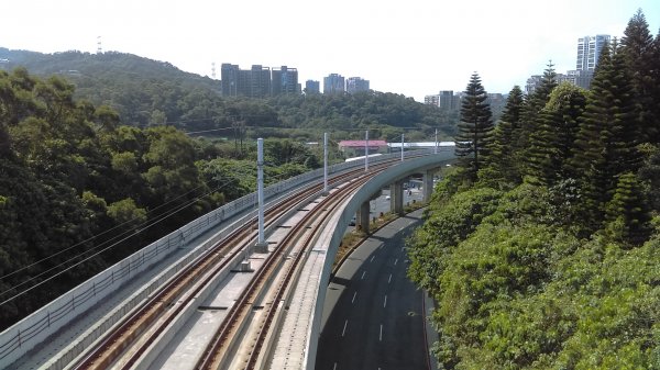 絢麗燦爛的滬尾櫻花大道、景致優美的天元宮874752