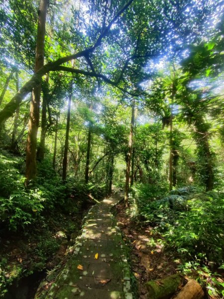 微笑山線五分山系菁桐-平溪-望古2881219