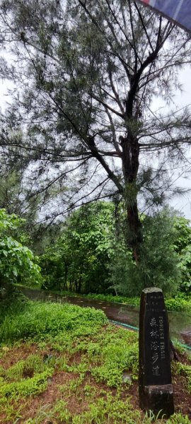 台東．森林公園202508013019158