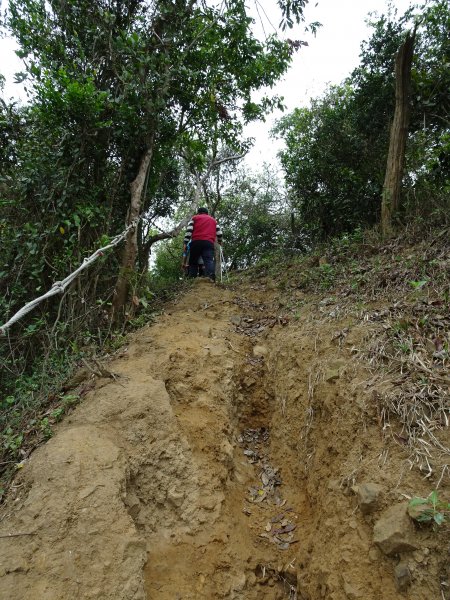 台灣小百岳第72座高雄旗山旗尾山之三角點551176