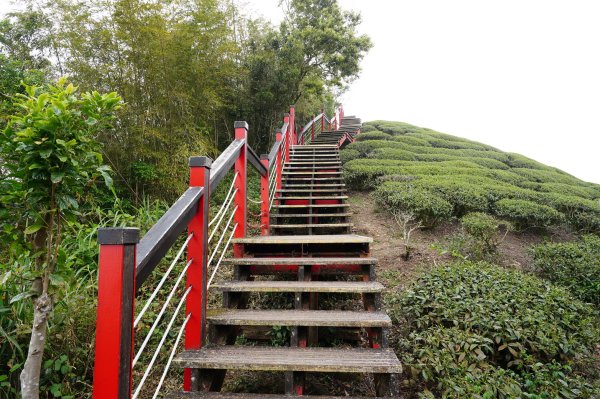 嘉義 梅山 太平山、梨子腳山、馬鞍山、二尖山、大尖山、碧湖山2748982