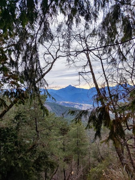 單攻志佳陽2725301