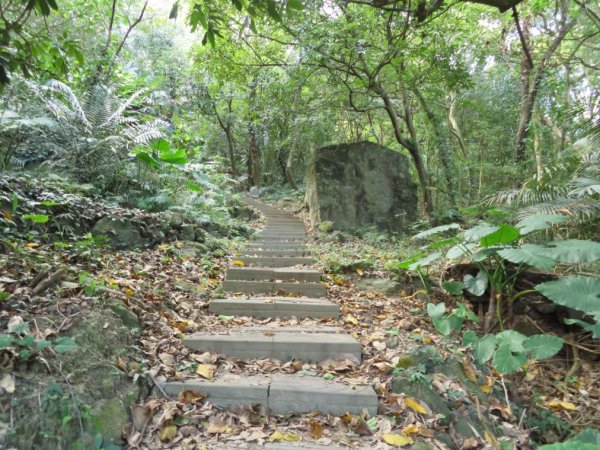 泰安登山步道‧隘勇古道‧巡圳道O形輕鬆走2007513