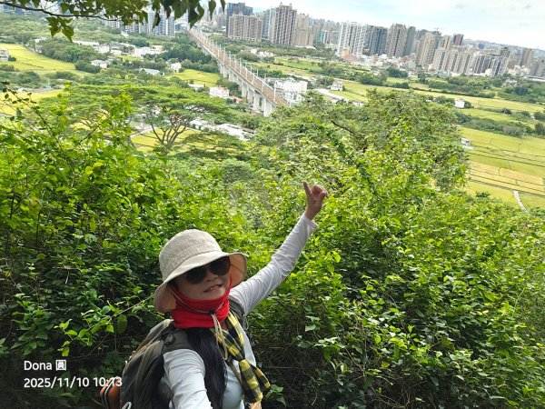 20251110竹北文山步道＆犁頭山稜線步道賞高鐵+大墩山柿園2934054