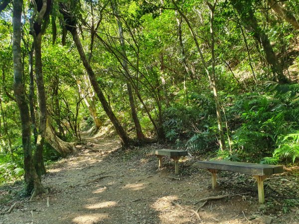 帽子山步道1237737