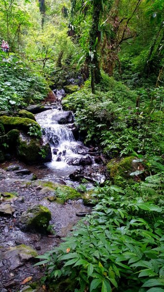 抹茶山，聖母登山步道，隆隆山，福卯古道，水柳腳登山步道，觀音台步道，北勢溪自行車道1742239