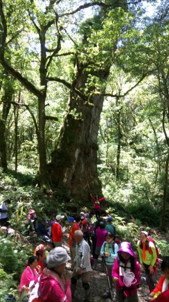 米羅山←→南山神木←→佐得寒山折返340912