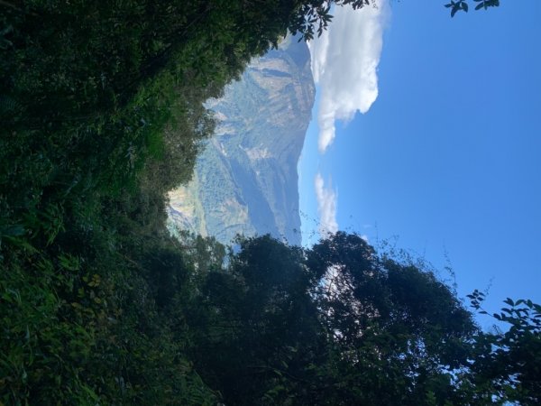 奮起湖大棟山1547912