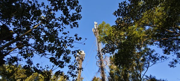 2026/01/10_銅鏡山林步道2980590