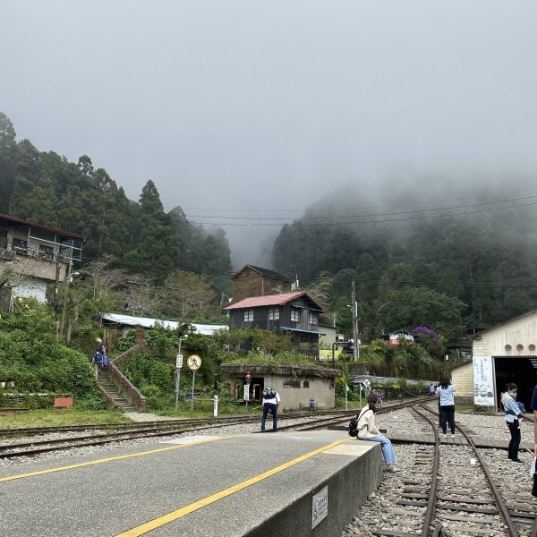 小百岳-嘉義大凍山1137846