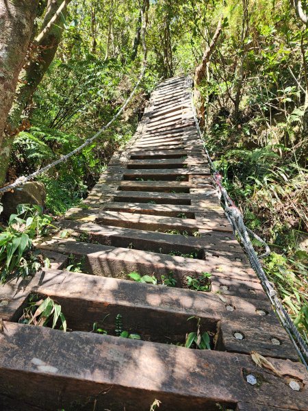 小百岳No.20⛰獅仔頭山2917933