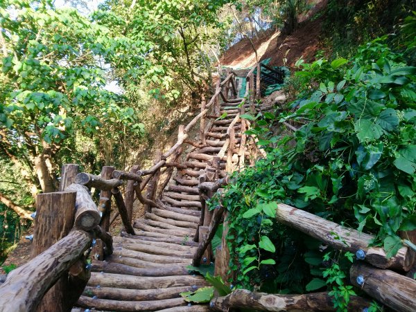 大坑步道全包一起登( 2 3維修)747614