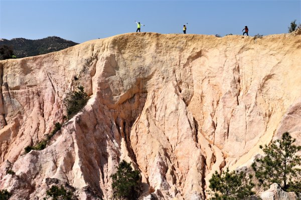 HK - 青山復地1482574