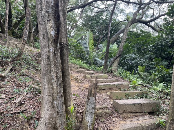 [微笑山線_第三段] 2025_0720 鳶山山系_鳶尾山2843654
