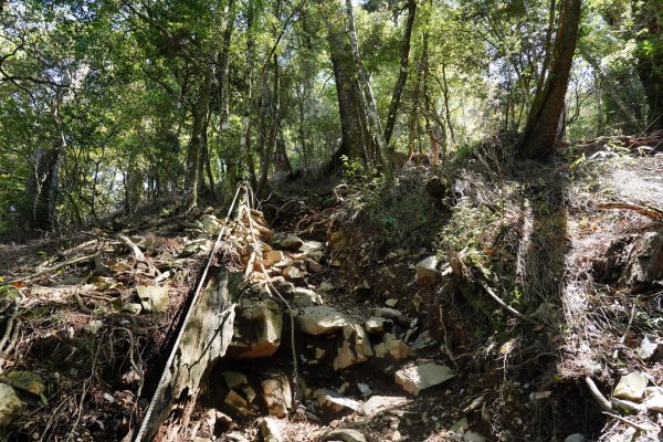 台中 和平 馬崙山2796975
