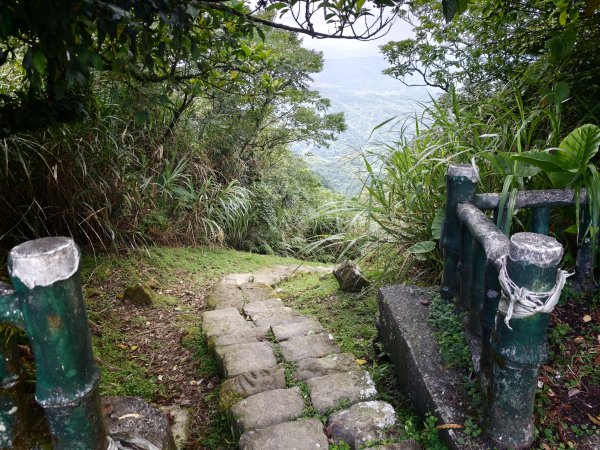[淡蘭古道] 2026_0531 北路第四段_金字碑古道(下)-金字碑3071085