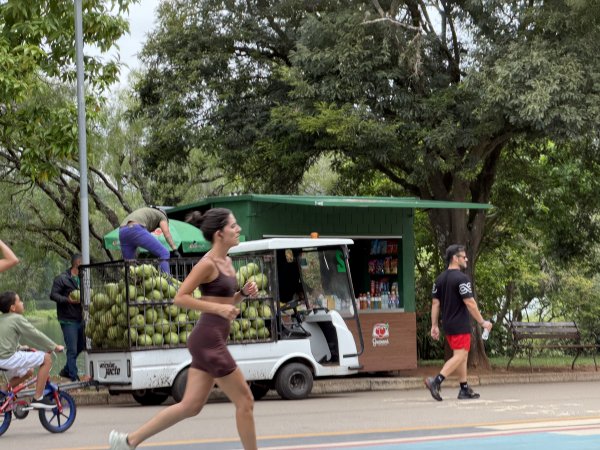 [紐約馬之行-68] 2025_1116 伊比拉布埃拉公園-中2955114