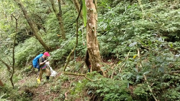雙溪區烏山古道西線-大湖尾古道支線-大湖尾古道O型3098470