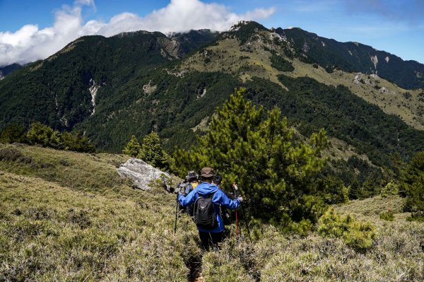 帝王之座-南湖東峰線｜南湖東峰＋陶塞峰＋馬比杉山2884912