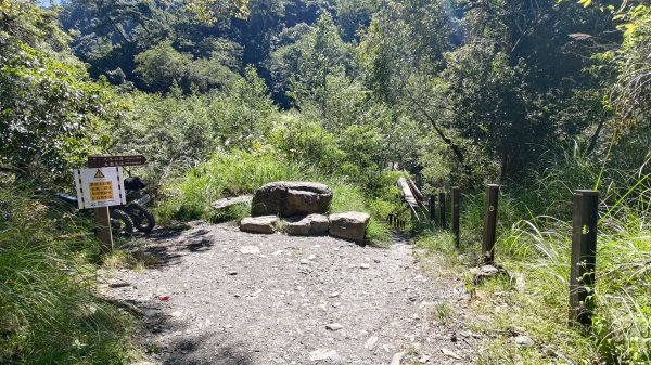 大霸群峰登山步道(大鹿林道線)2911397