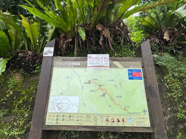 汐止大尖山/小百岳#12 走四分尾山3116156