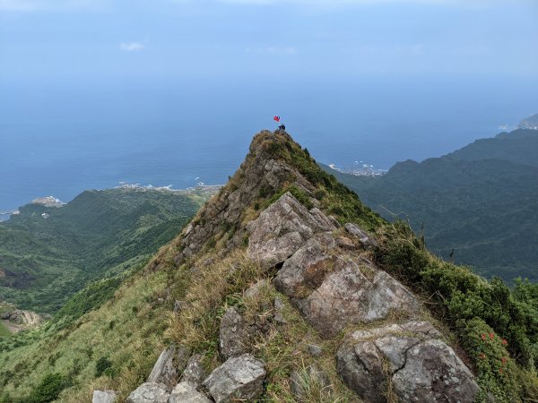 劍龍稜無耳茶壺山1468093