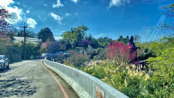 20210130-平等里+陽明山花卉中心+擎天崗竹篙山1439520