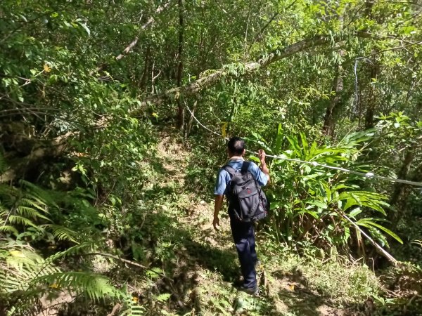 雙溪區內盤山坑古道+石硿子越嶺古道+盤山坑古道+過火坪古道O型2914383