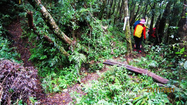 拉卡山 -東滿步道的綠寶石 滿月圓O型往返1858895