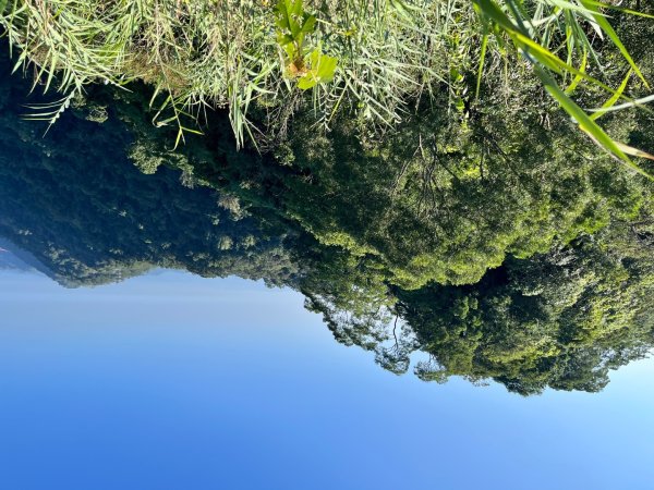 20251115_刣牛湖山（台南小百岳）2941502