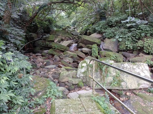 汐止區茄苳越嶺古道+上鹿窟崙山+九層坪山+四分尾山+大尖山8字走2981538