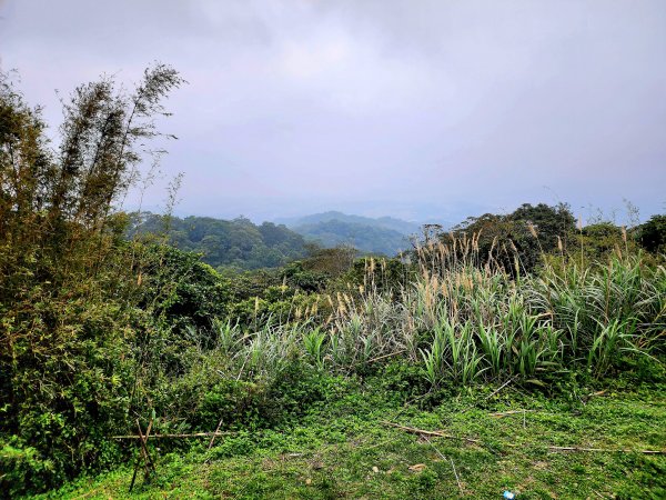 小百岳集起來-樹林大棟山2181097