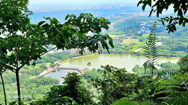 大溪大九芎步道上小百岳溪洲山(H577m)2844309