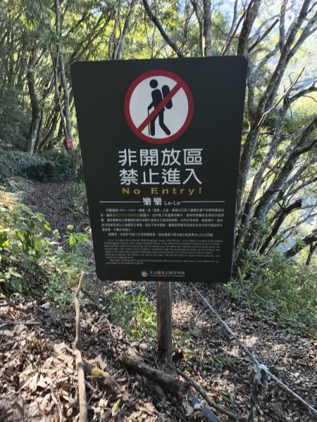 [玉山尋寶任務-07/12] 2025_0824 八通關雲龍瀑布步道2870558