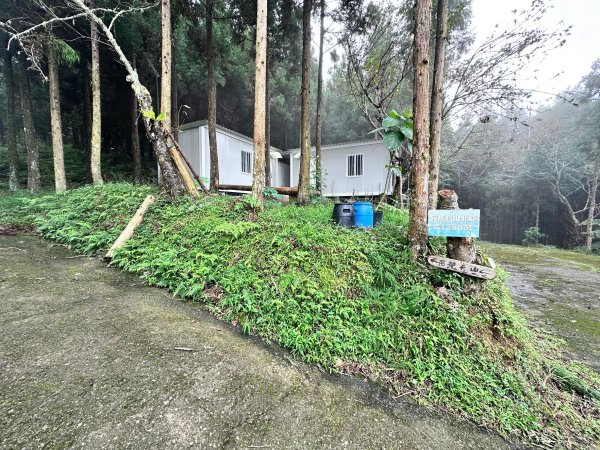 絕美柳杉林民都有山涼爽舒適2604533